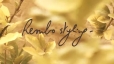 Rembo Styling 2012