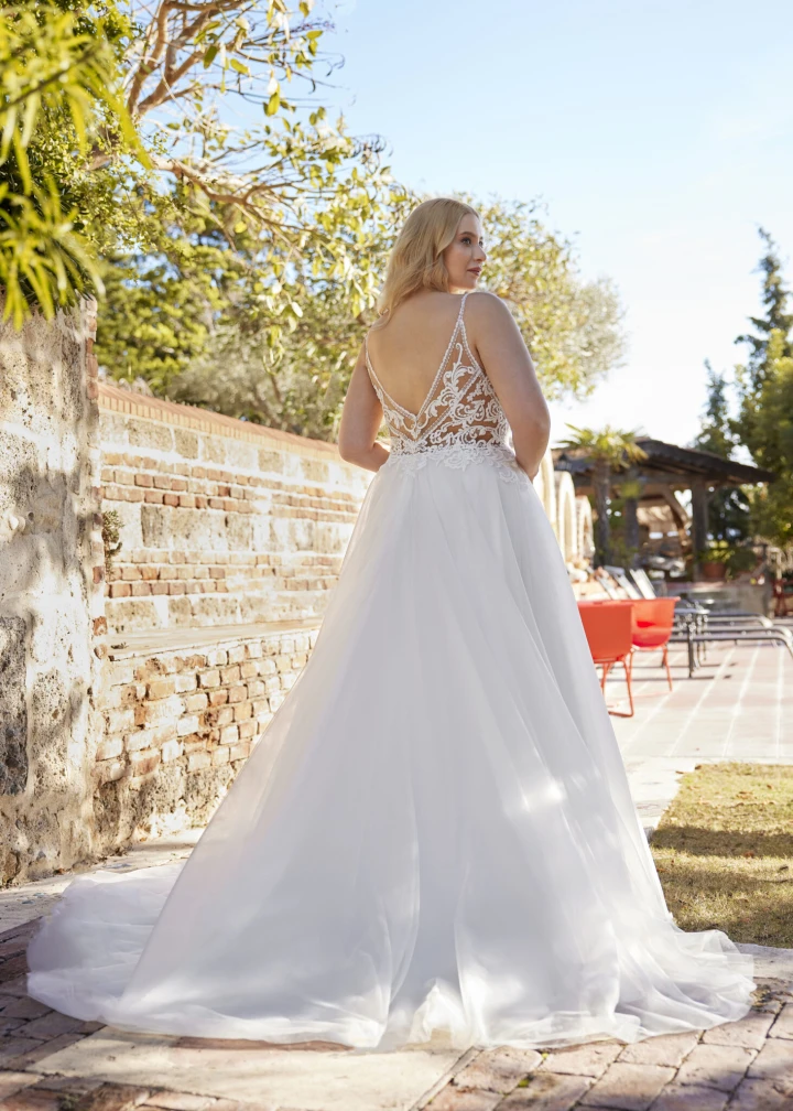 Herve-Paris Alouette plus back