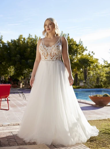 Herve-Paris Alouette plus