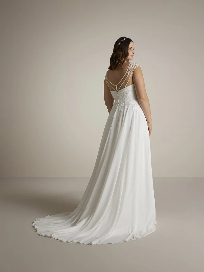 Ladybird Bhranti back