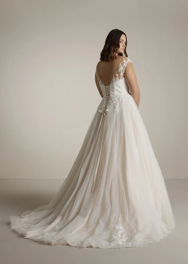 Ladybird Claudina back