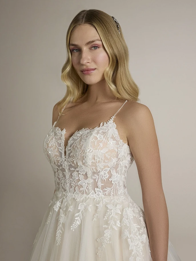 Ladybird Hilmi close