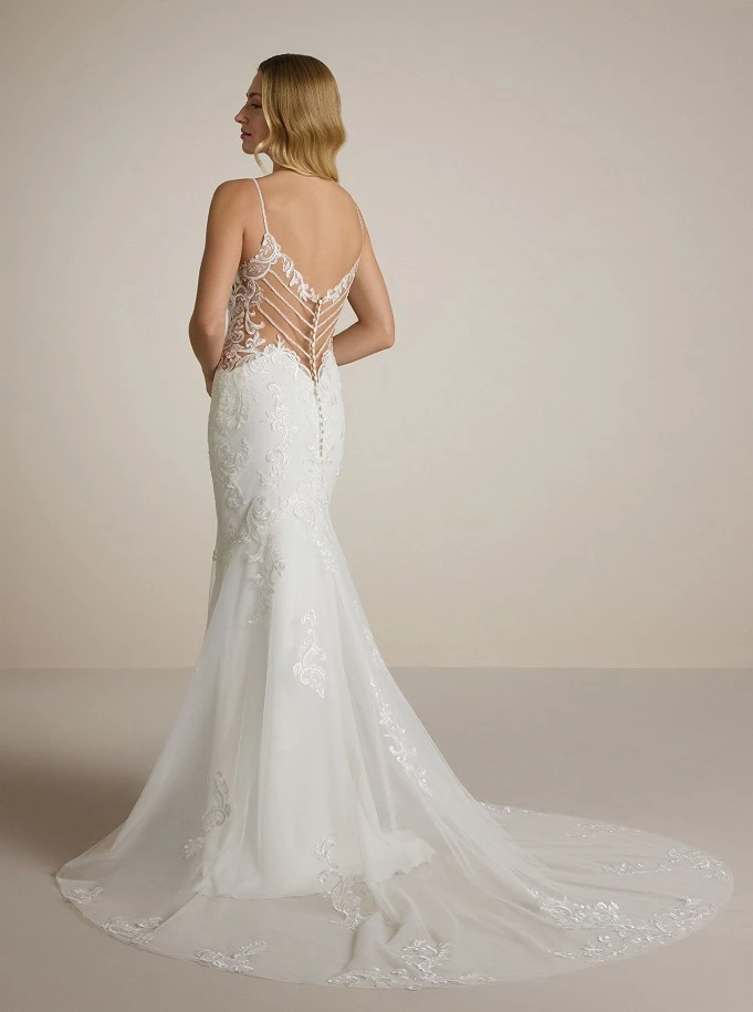 Ladybird Unistus back