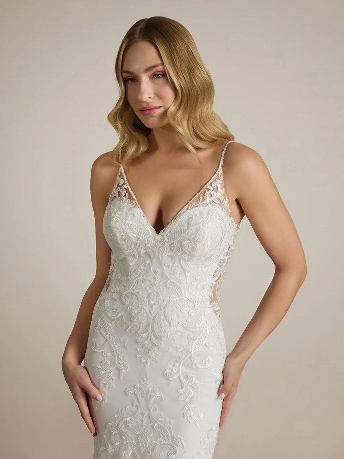 Ladybird Unistus close