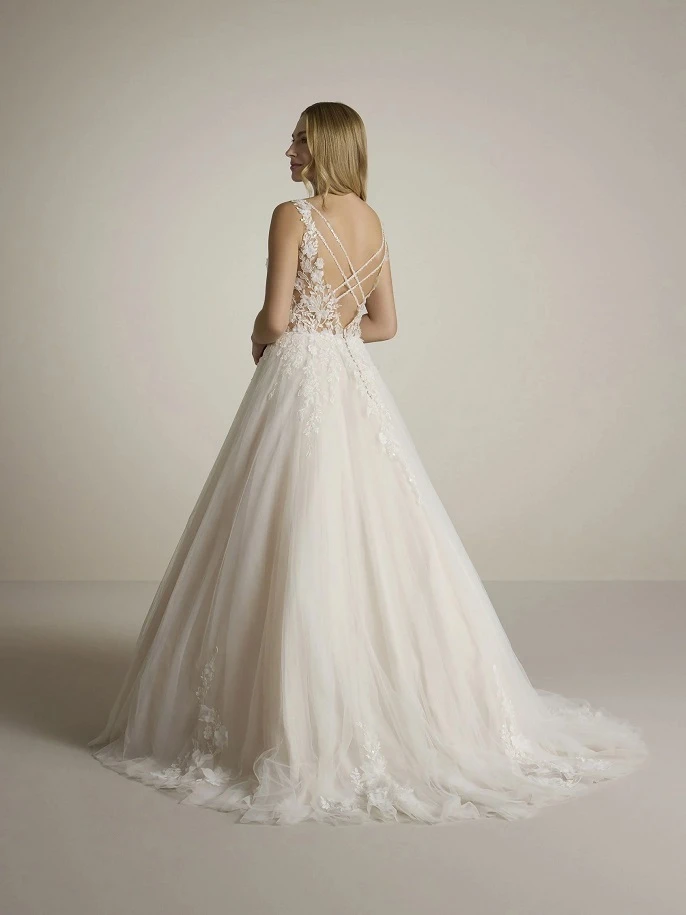 Ladybrid Asperation back