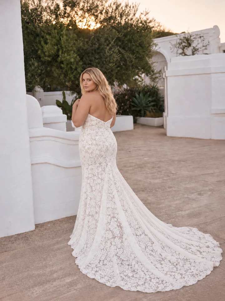Modeca Luriane back