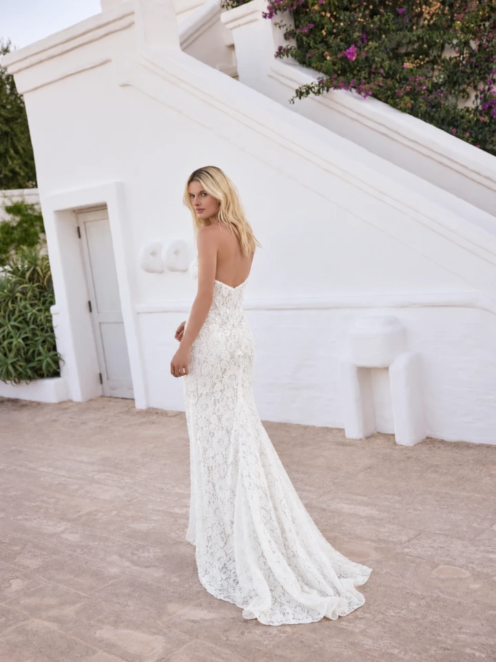 Modeca Luriane back
