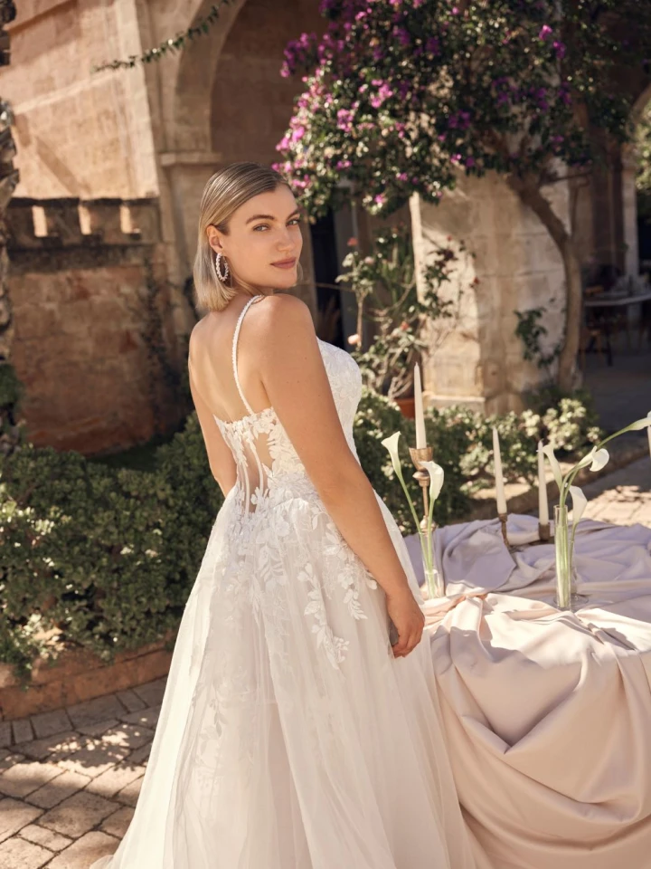 Modeca Nia back