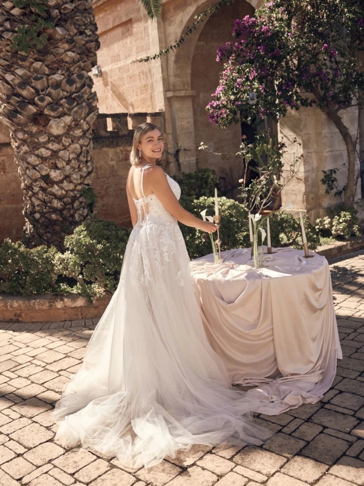 Modeca Nia back