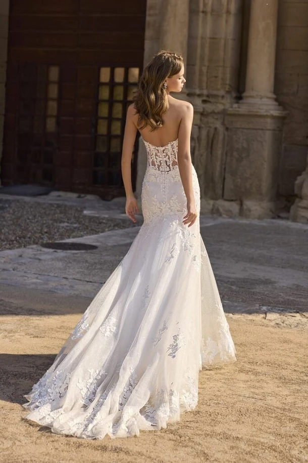 Veni Infantino 63014 back