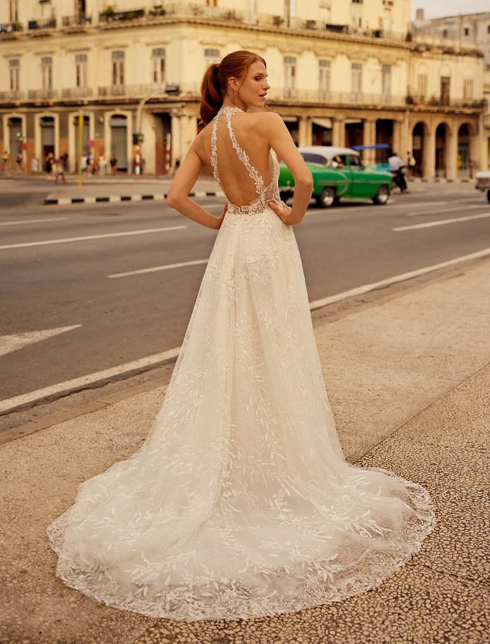 herve paris lewis back