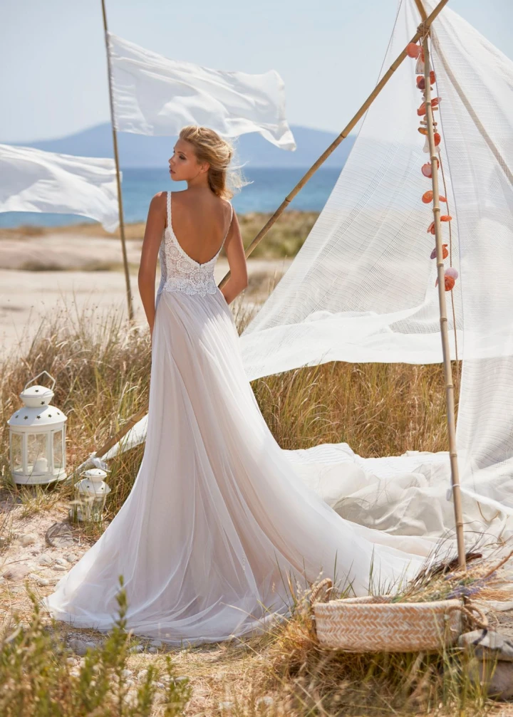 Herve Paris Voiron back