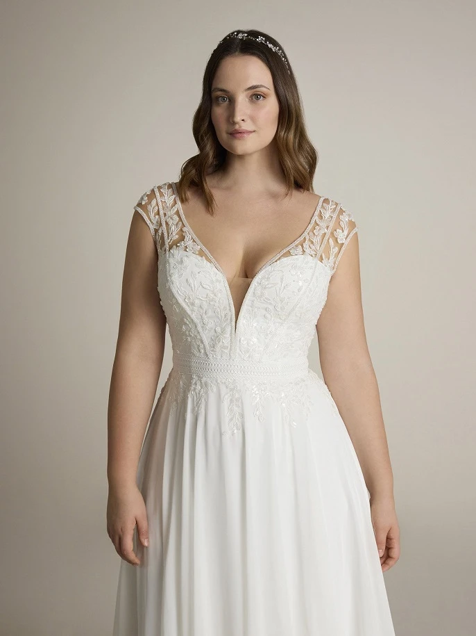 Ladybird Bhranti close