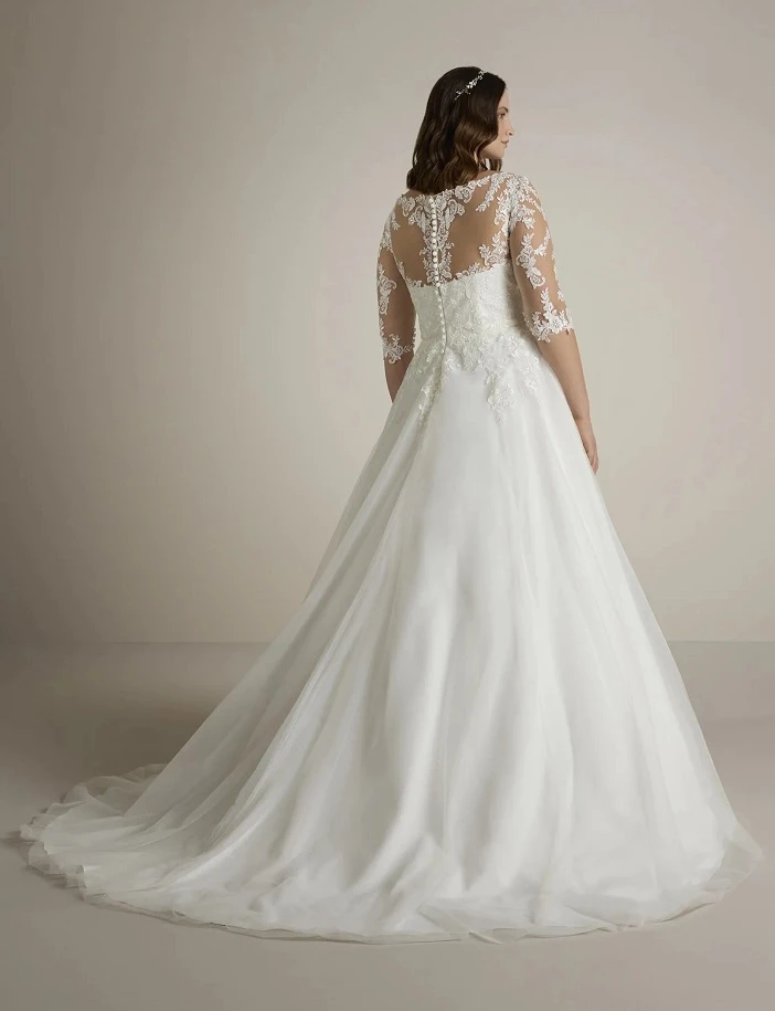 Ladybird-Somnus-back