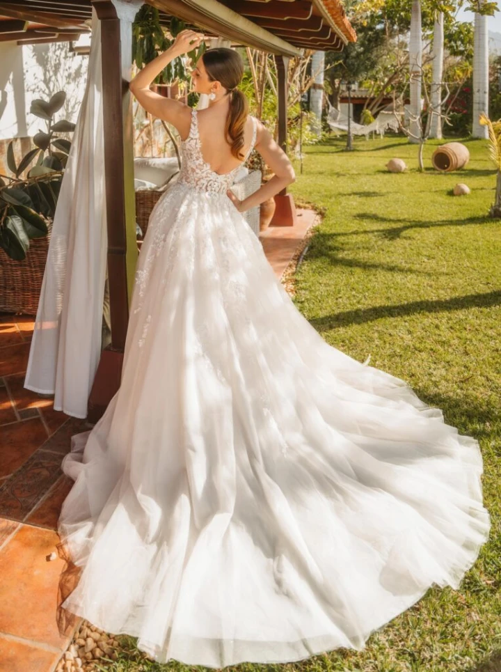 lisa donetti 2600 back