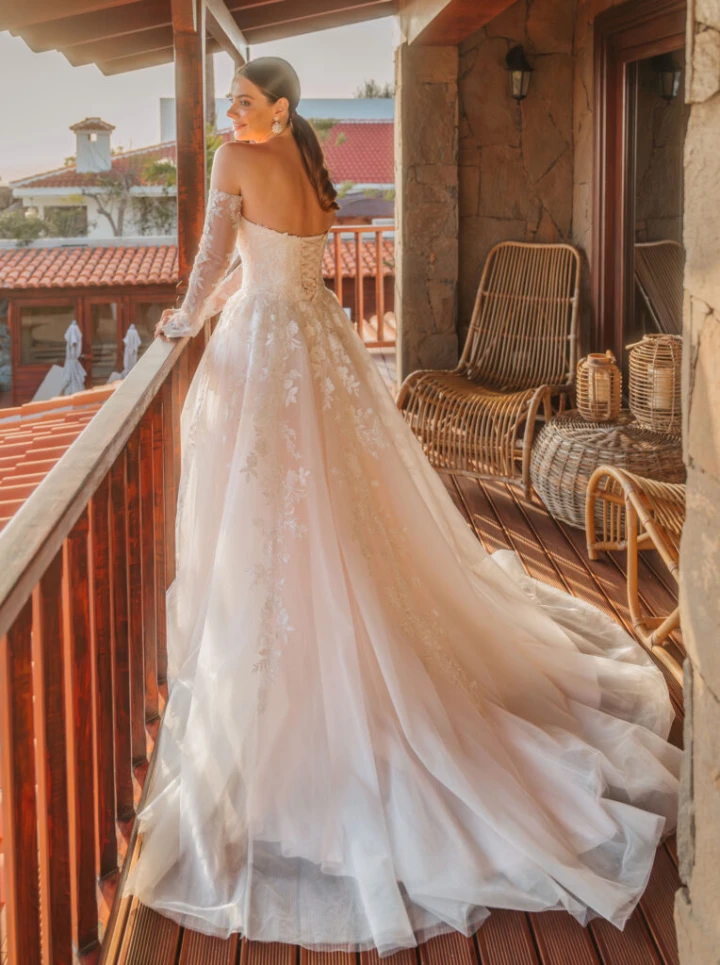 lisa donetti 2604 back