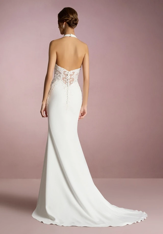 white one akashi back